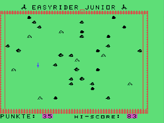 EasyRider Junior in-game shot